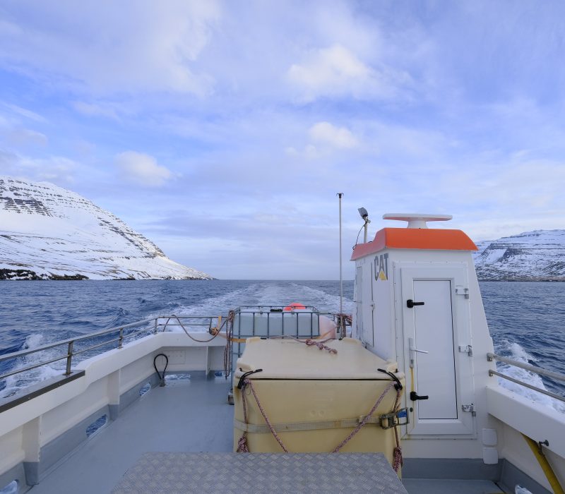 sea-transport00010