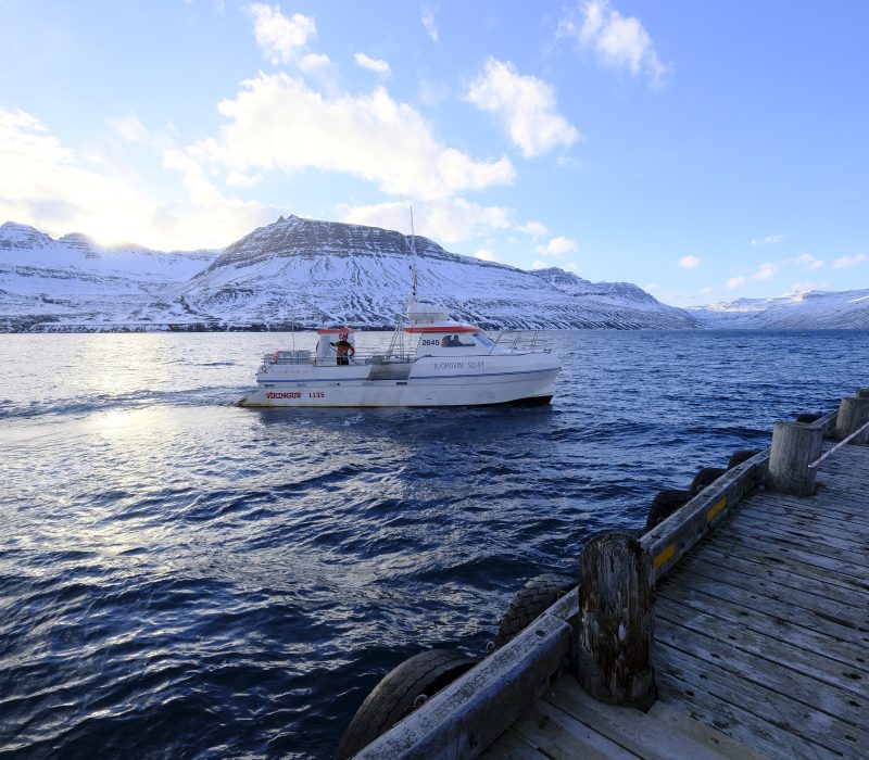 sea-transport00013